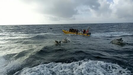 Azoren – Wandern auf den Vulkaninseln im Atlantik