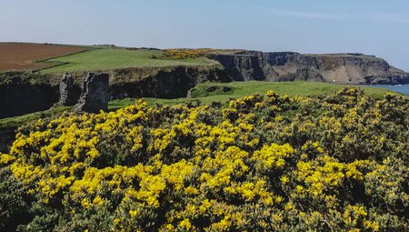 Irland, Nordirland - Vom Wild Atlantic Way nach Nordirland