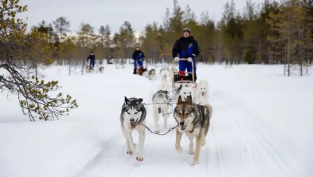 Finnland - Saija's Wintertraum Finnland - Saija's Wintertraum