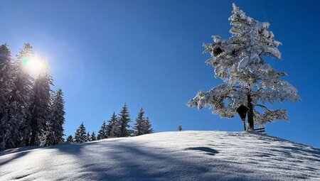 Österreich - Schneeschuhwandern in der Wildschönau