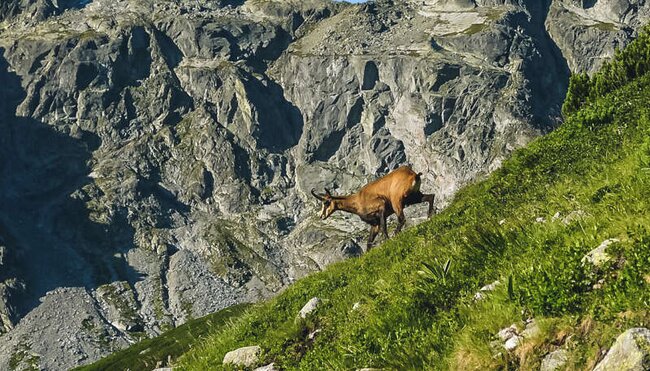 Slowakei - Trekkingreise über die Hohe Tatra