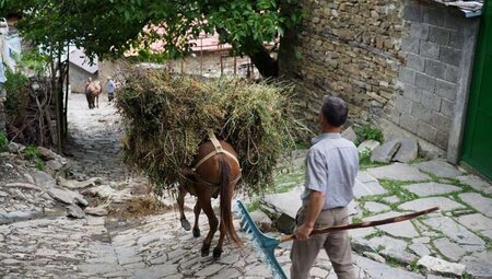 Albanien - High Scardus Trail