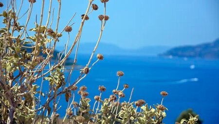 Trekkingrad Albanien - Im Land der Skipetaren