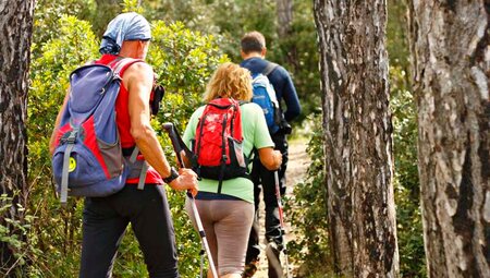 Kroatien - Dalmatien: Plitvicer Seen und Adria