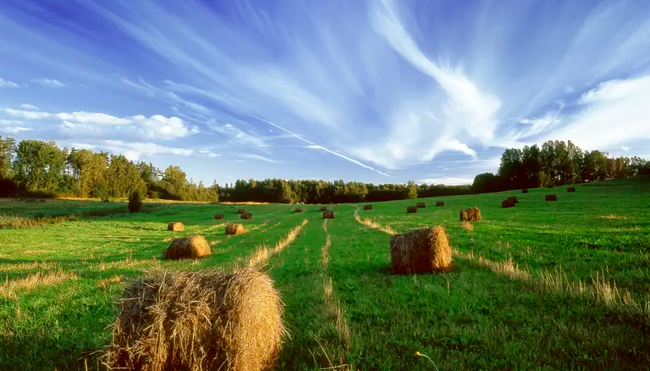 Baltikum – Naturlandschaften & Hauptstädte