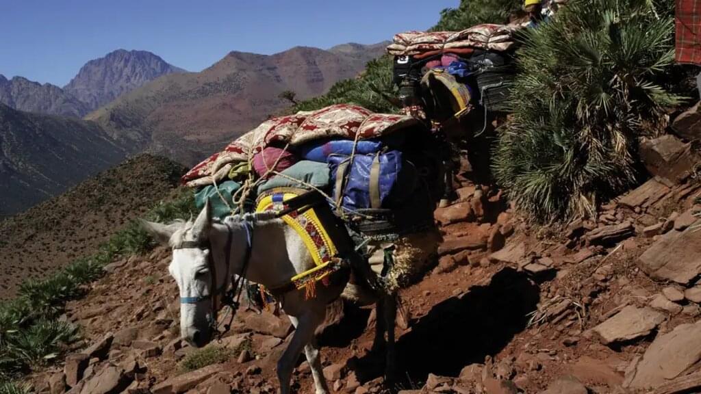 Marokko – Viertausender des Hohen Atlas