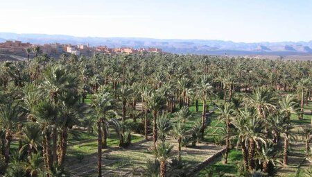 Marokko - MTB Reise von Marrakesch nach Zagora