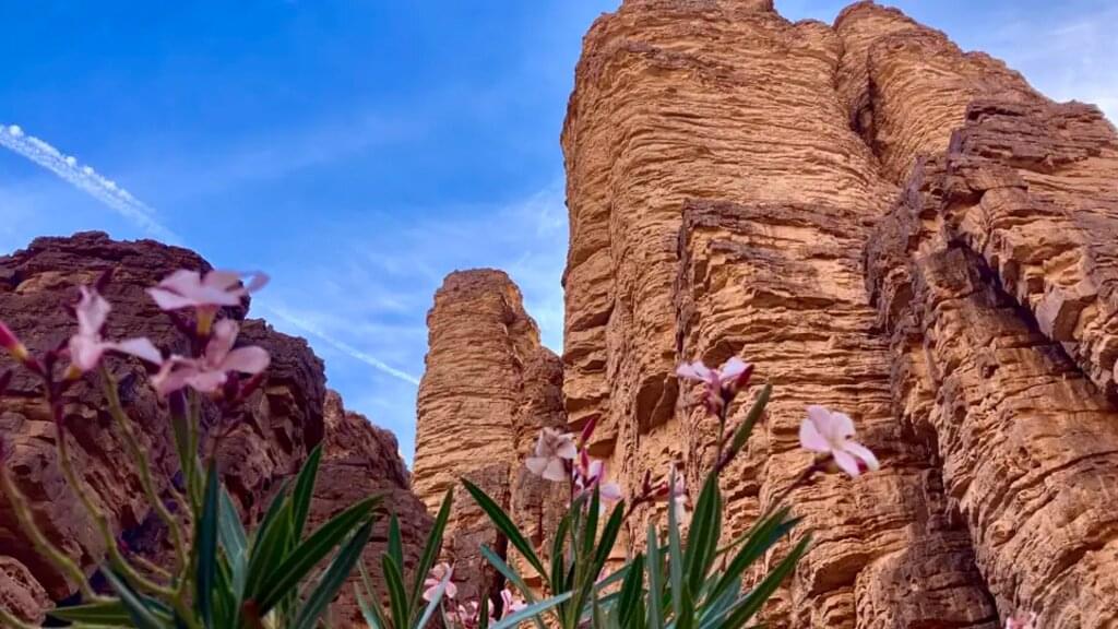 Algerien - Durch Oasen und Schluchten des Tassili zu den Dünen des Tadrart