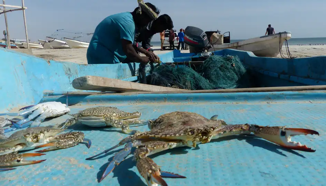 Oman - Höhepunkte zu Fuß Oman - Höhepunkte zu Fuß