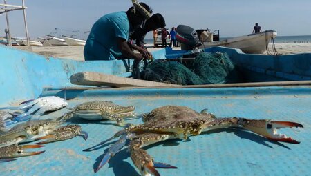 Oman - Höhepunkte zu Fuß Oman - Höhepunkte zu Fuß