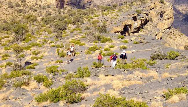 Oman - Anspruchsvolle Pfade im Sultanat