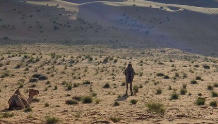 Oman - Zu Fuß durch die Wüste Rub Al-Khali