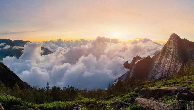 Indien - Trekkingreise in Kerala
