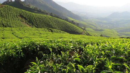 Indien - Geheimnisvolles Bergland von Kerala