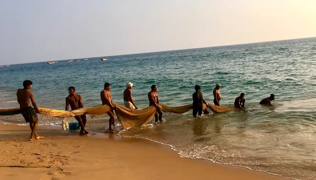 Indien - Geheimnisvolles Bergland von Kerala