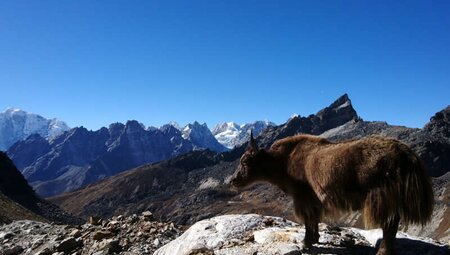Nepal - Renjo La Lodge-Trek