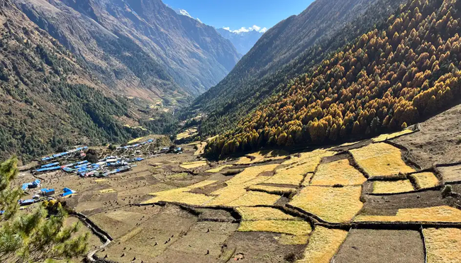 Nepal – Manaslu Lodge-Trek