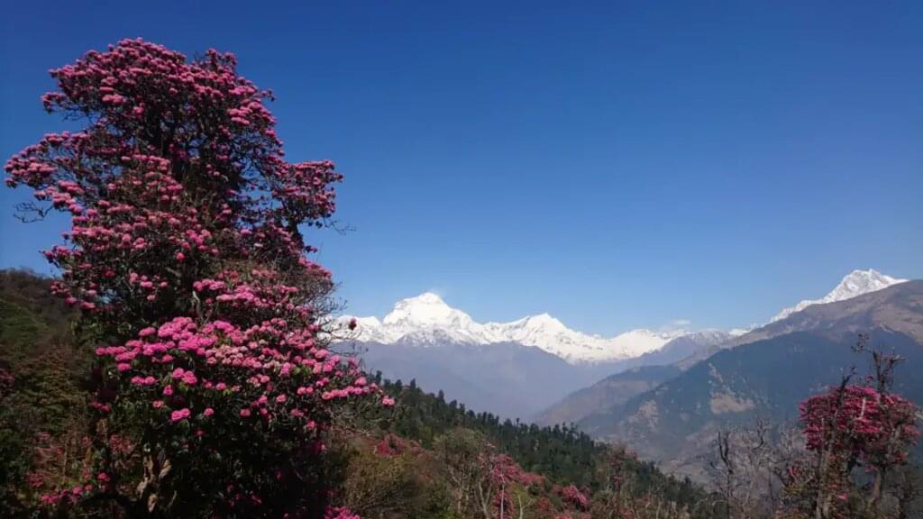 Nepal – Annapurna Panorama Lodge-Trek