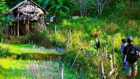 Thailand - Königsstädte und Trekking im Dschungel