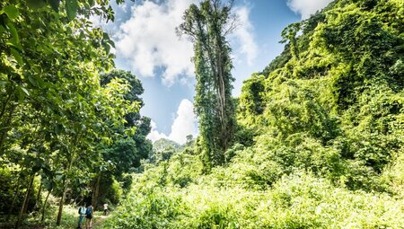 Laos - Wandern im grünen Norden Laos - Wandern im grünen Norden