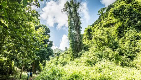 Laos – Wandern im grünen Norden