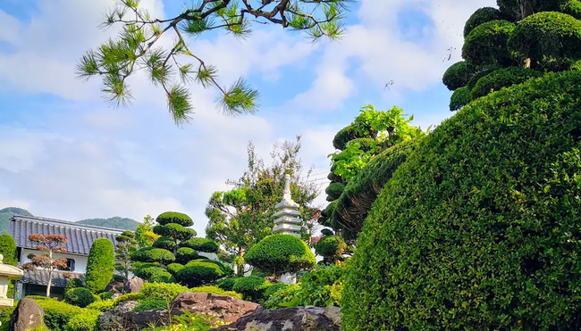 Japan mit Norbert Berger – Wandern in den Japanischen Alpen