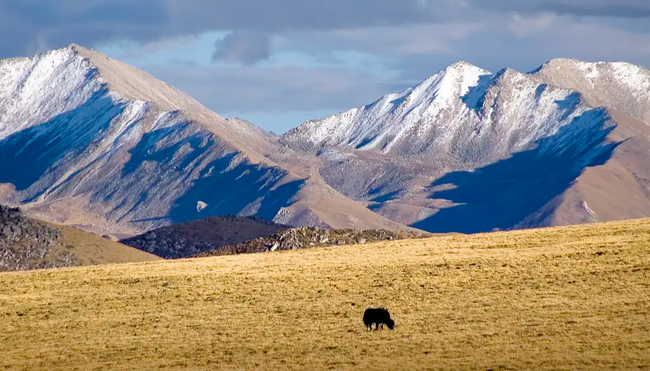 Tibet - Im Angesicht des heiligen Kailash