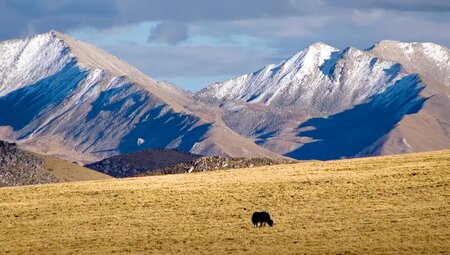 Tibet - Im Angesicht des heiligen Kailash
