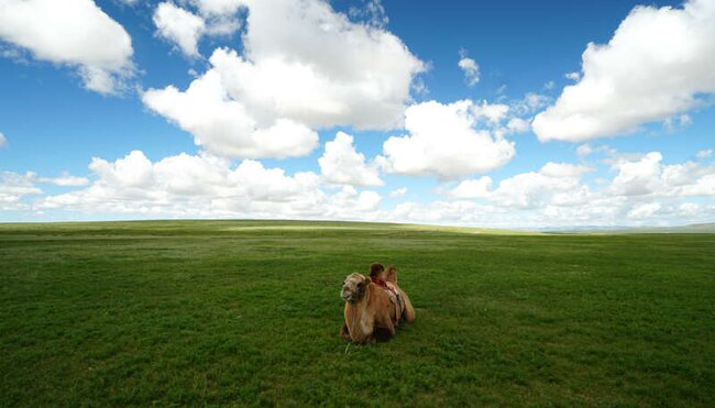 Mongolei - Zelt-Trekking in der Zentralmongolei