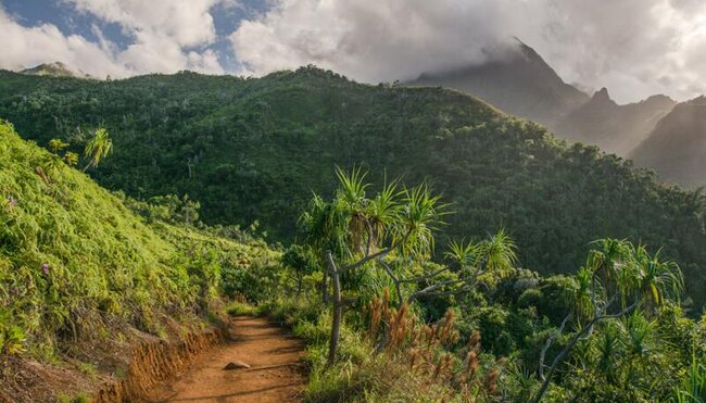 Hawaii - Wanderparadies in der Südsee