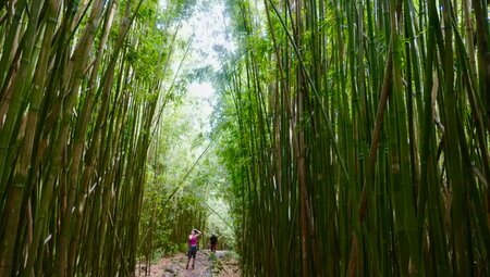 Hawaii – Wanderparadies in der Südsee