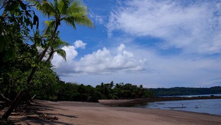 Costa Rica - Wandern im wilden Süden