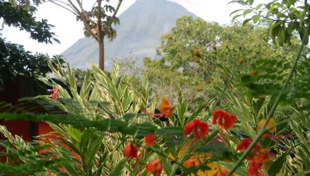 Costa Rica - Wandern, Staunen und Genießen