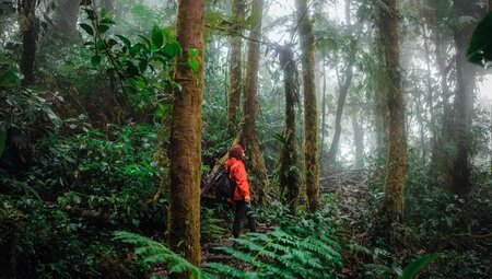 Costa Rica - Wandern, Staunen und Genießen