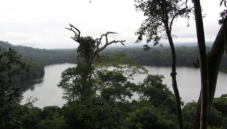 Bolivien - Madidi Nationalpark