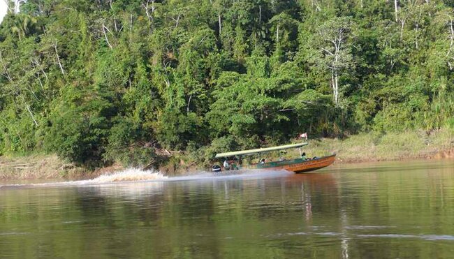 Peru - Amazonas: Regenwald erkunden