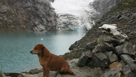 Peru – Umrundung des Alpamayo