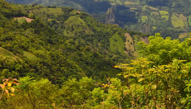 MTB Kolumbien - Andenpisten und Karibik-Feeling
