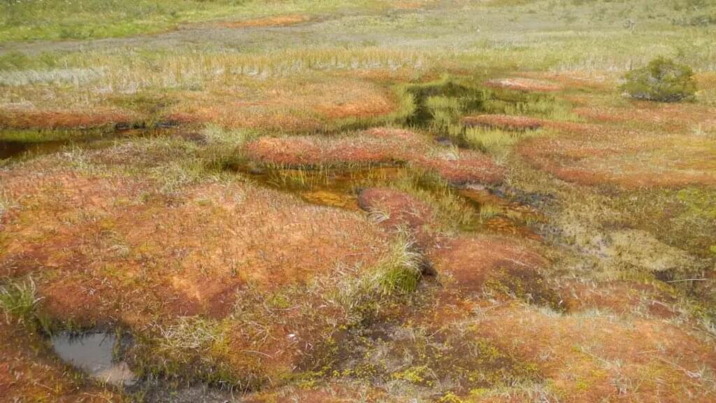 Chile, Argentinien - Durch Granit und Eis in Patagonien