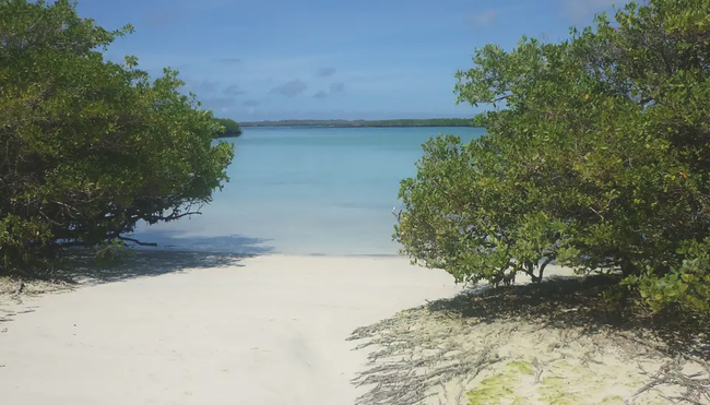 Ecuador - Galápagos-Inseln