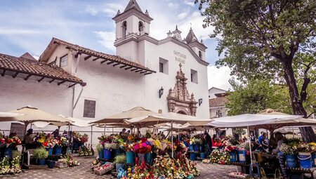 Ecuador – Andenhochland, Amazonas & Galapagos