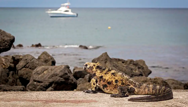 Ecuador - Galapagos - Verzauberte Inseln
