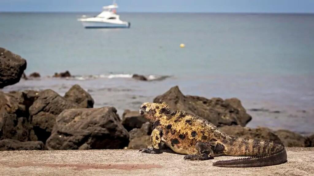 Ecuador - Galapagos - Verzauberte Inseln