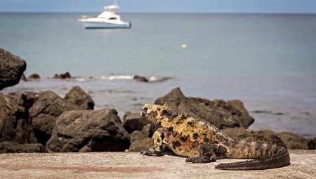 Ecuador - Galapagos - Verzauberte Inseln