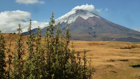 Ecuador – Humboldts Straße der Vulkane