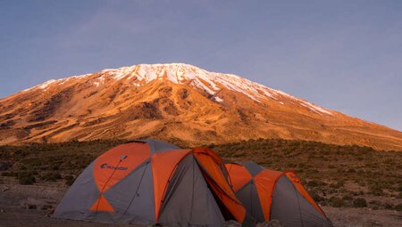 Kilimanjaro - Besteigung über die Lemosho-Route