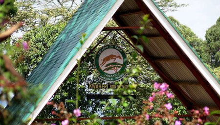 Kilimanjaro - Überschreitung auf der Kikelewa-Route