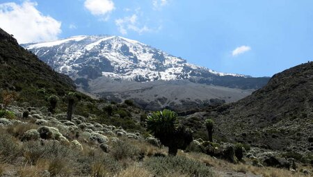 Kilimanjaro - Besteigung über die Machame-Route