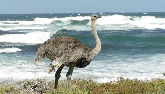 Südafrika - Trekking und Wandern im Regenbogenland