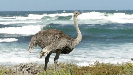 Südafrika - Trekking und Wandern im Regenbogenland